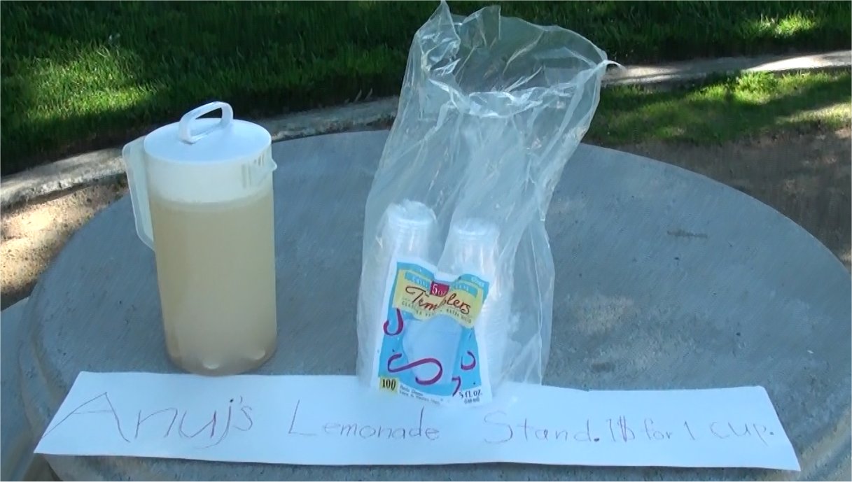 My 1st Blog and the Lemonade Recipe